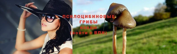 прущая мука Богородск