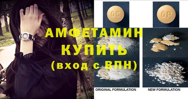 индика Верея