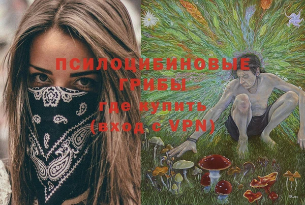 apvp Богданович