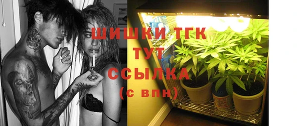 apvp Богданович