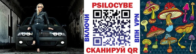 KRAKEN маркетплейс  Ветлуга  Псилоцибиновые грибы мицелий  закладки 
